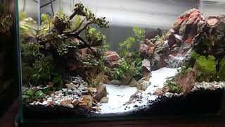 Aquascape #10 60x30x40 view waterfall