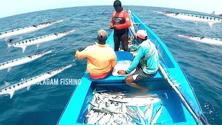 Longline fishing // hound fish , lesser queenfish  and small gobia fish