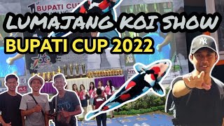 LUMAJANG KOI SHOW BUPATI CUP 2022 #koishow #lumajangkoishow #bupaticup2022