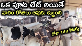 అనుభవం లేకపోతె నష్టమే bhasker yadav dairy farm @MalleshAdla