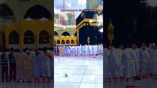 Madina wo hai ke kaba #shorts #makkamadinah #makkah #hajj #islamicstatus