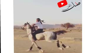 شاهد خبرة هذا الخيال بالوقوف على ضهر الخيل