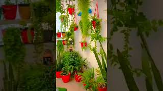 Beautiful Garden Ideas in Balcony