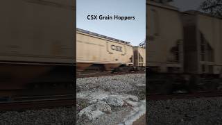 CSX Grain Hoppers #csx #athensalabama @CameraBryan #freightcars #hoppers #freighttrain #freight