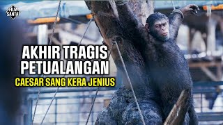 AKHIR PERTEMPURAN ANTARA MANUSIA DAN KERA CERDAS‼️Alur cerita film war for the planet of the apes