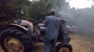 Cold Start - 1968 Ford 3000 Diesel Tractor