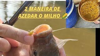 Todo pescador precisa aprender 2 maneira de azedar o milho.