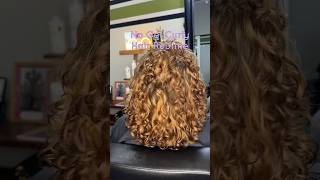 No Gel Natural Curl Routine on Fine Hair #curlyhair #frizzyhair