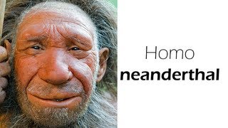 Homo neanderthalensis