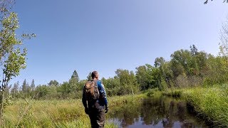 WR250R Mud Bogging to Mud Lake