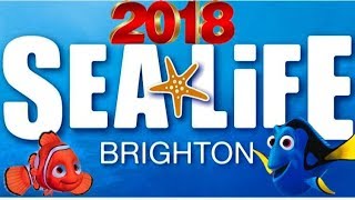 SEA LIFE BRIGHTON 2018