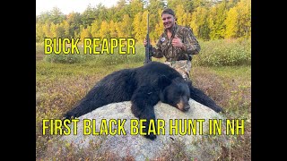 BLACK BEAR HUNT IN NH