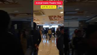 इतनी भीड आ गई 🔥 | Animal Inside Theatre View #animal #animalmovie #theatre #insideview #matvindia