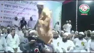 Wahabi, Deobandi ka paglami