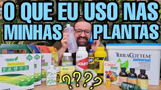 Quais PRODUTOS uso nas minhas PLANTAS ? Nunca mais tenha PRAGAS nas suas plantas