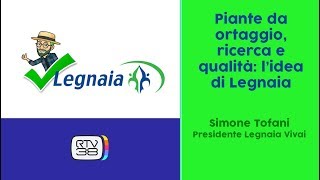 Piante da ortaggio, orto in terrazza e qualità: l'idea di Legnaia - Legnaia@RTV38