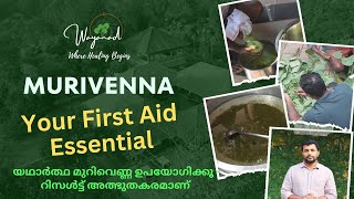 Murivenna | യഥാർത്ഥ മുറിവെണ്ണ ഉപയോഗിക്കൂ - റിസൾട്ട് അത്ഭുതകരമാണ്  | Wayanad Ayurveda