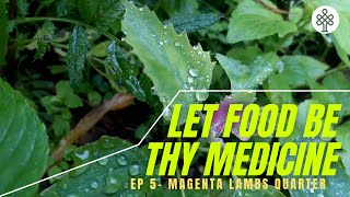 Let food be thy medicine - Magenta Spreen |EP 5|