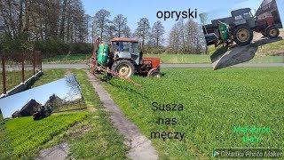 Susza nas męczy opryski 2019