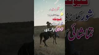 Shoor Tamashai Karte Hain | Aqwal e Zareen | Quotes About Life #shorts #urduquotes #shortsvideo