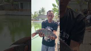 Nila babon di tangerang #trending #viral #mancing #subscribe #shortvideo #like #shorts