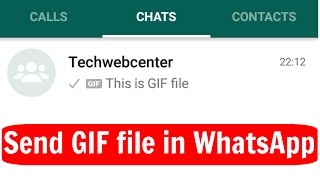 Send GIF file in WhatsApp on Android | WhatsApp version 2.16.243