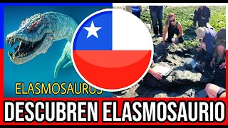 DESCUBREN en Algarrobo Fósil de Elasmosaurio 🇨🇱 #Chile #Valparaiso #ViñaDelMar #BioBio #Santiago