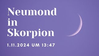 Gut verwurzelt in die Tiefe der Skorpion Neumond Energie