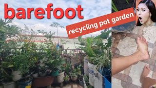 Barefoot on the rooftop recycling pot garden tour ni mother. Lots of different vegetables & plants