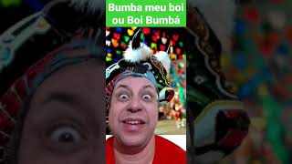 BUMBA MEU BOI ou BOI BUMBÁ #bumbameuboi #boibumba #boibumbá #shorts #shortsvideo #short #shortvideo