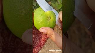 Fruit farming 🍐🍑🍋🍋‍🟩🍈🥑 #organic #fruitfarming #fruitcutting #satisfying @gardening_lover7469