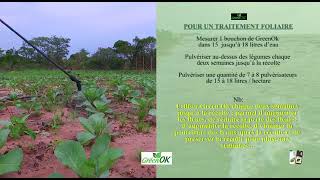 Comment fertiliser le sol avec le Green Ok ?