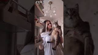 Сыр или Котлету ? #Shorts