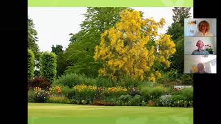 Gardening in the Garden of England webinar and Q&A