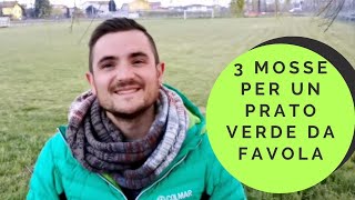 3 MOSSE PER UN PRATO VERDE DA FAVOLA:  prato all'italiana vs prato all'inglese