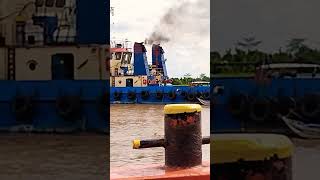 kapal tugboat maju daya 55 tarik tongkang batu bara di sungai lilin palembang#shorts #shortvideo