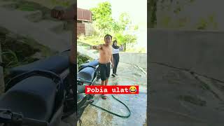 pobia ulat #viral #shots #comedy