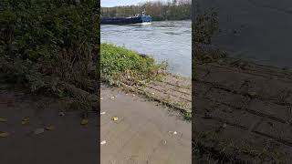 das #schiff Tokko mit einem  Bak  auf Bergfahrt auf dem #rhein Teil 1 #shortsvideo #shorts