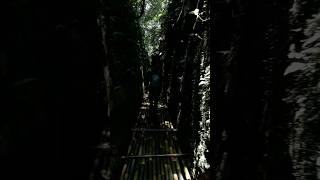 LORONG LUMUT UPAS HILL JAYAGIRI