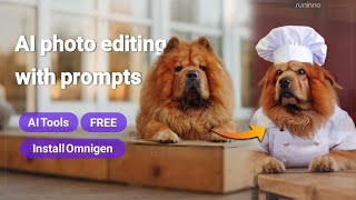 AI photo editing with prompts (free) - Omnigen