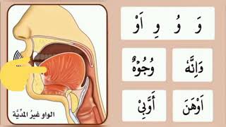 Haroof |حروف تہجی و