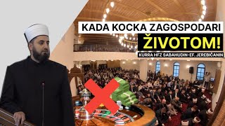 Kada kocka zagospodari životom!  kurra hfz Sabahudin-ef. Jerebičanin