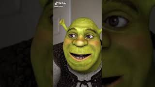 M To The B Shrek