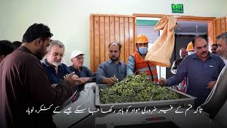 Training Video at Olive Oil Mil | OliveCulture