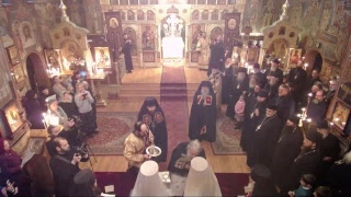 Nomination of Archimandrite Luke to the Episcopacy