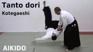 Aikido TANTO DORI, knife defense - KOTEGAESHI, by Stefan Stenudd in 2007