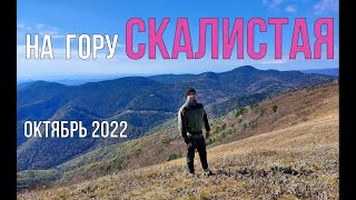 На гору Скалистая (Читинза) (Приморский край, Партизанский район) октябрь 2022