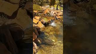 #waterfall #ponds #fish #beautiful #nature #relaxing #viral #youtubeshorts