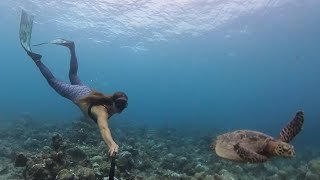 Diving with a turtle