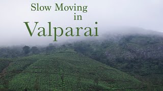 SLOW MOVING in VALPARAI - hill station at 3000 FEET | Tamil Nadu